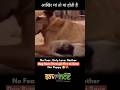 Mother Dog Saves Her Puppy From Fire! ✨🙏 #savrince #viral #ytshorts #shortsfeed #trending  #shorts
