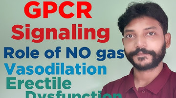Cell signaling: GPCR signaling" Role of Nitric oxide" Smooth muscle relaxation" Erectile dysfunction