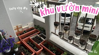 🇯🇵🌱vlog#4 : khu vườn mini của tôi đã nảy mầm / cuộc sống Nhật bản  #cuocsongnhatban