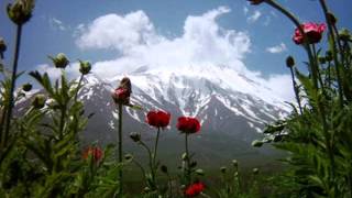 Milade Mo'ud   The birth of the Promised One