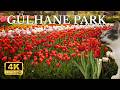 When the flowers bloom in Istanbul / İSTANBUL TÜRKİYE 2026/ İstanbul, Gülhane Walking Tour