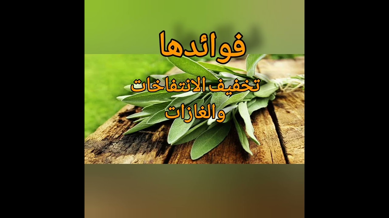 فوائد عشبة الميرمية##نباتي #fruit 