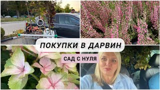 картинка: Покупки саженцев в Дарвин / Сад с нуля🌳 / Покупки в Лемана для сада