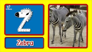 ABC Animal Facts for Kids | Learn The Alphabet & Letter Sounds With Animals and Animal Facts