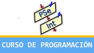 4. Variable tipo real pseint