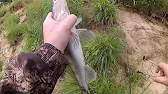 Рыбалка Наше Всё