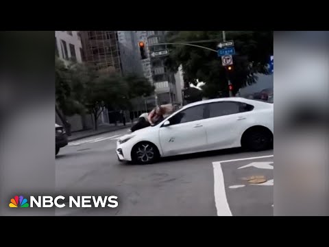 Video shows L.A. woman clinging to car after alleged dognapping