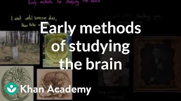 Early methods of studying the brain | Organ Systems | MCAT | Khan Academy