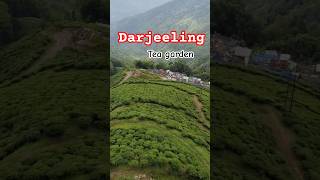 Queen of hill  #darjeeling #trip #love #hindisong #nature #travel #shortvideo #ytshorts #bollywood