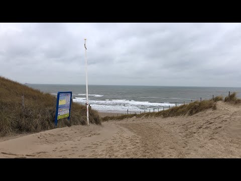 Walk at the Beach - Egmond aan Zee