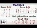 Suma, resta y multiplicación por un escalar en matrices | La Prof Lina M3