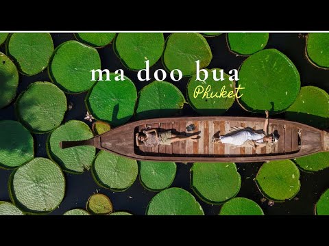 Ma Doo Bua Phuket: เที่ยวคาเฟ่ พายืนบนบัววิคตอเรียที่ร้าน "มาดูบัว" จ.ภูเก็ต