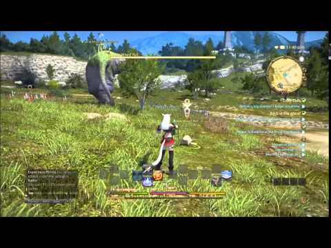 final fantasy XIV : a realm gameplay ps4 - YouTube