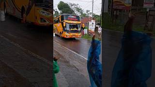 BUS MASLAHAH 97 TRANS 'ANACONDA' #busmania #shorts