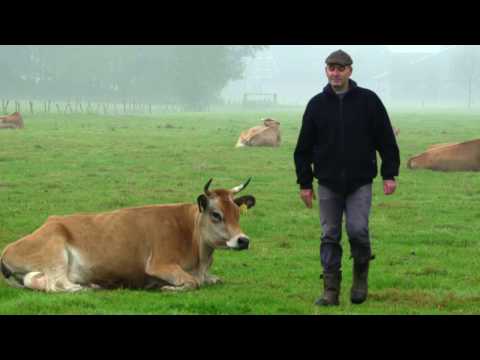 Omschakelen naar biologische veehouderij