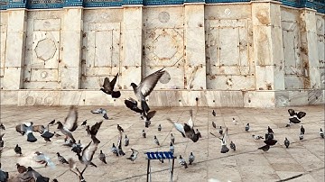 سورة الرحمن سورة يس سورة الملك تلاوة رائعة وهادئة القرآن الكريم راحة نفسية #سورة_الملك