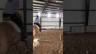Teaching holly lead changes !! #capcut