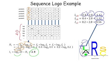 Sequence Profiles