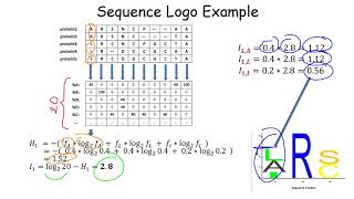 Sequence Profiles