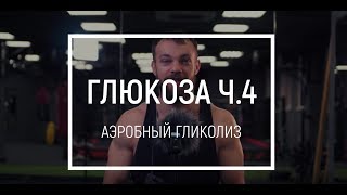 Аэробный гликолиз. Цикл Кребса. Глюкоза часть 4.