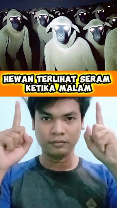 HEWAN TERLIHAT SERAM KETIKA MALAM