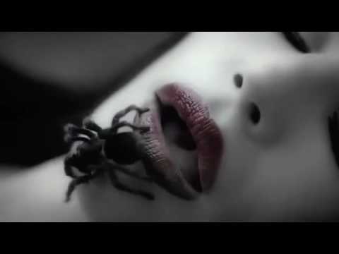 American Horror Story Season 6 "Spider" Teaser HD