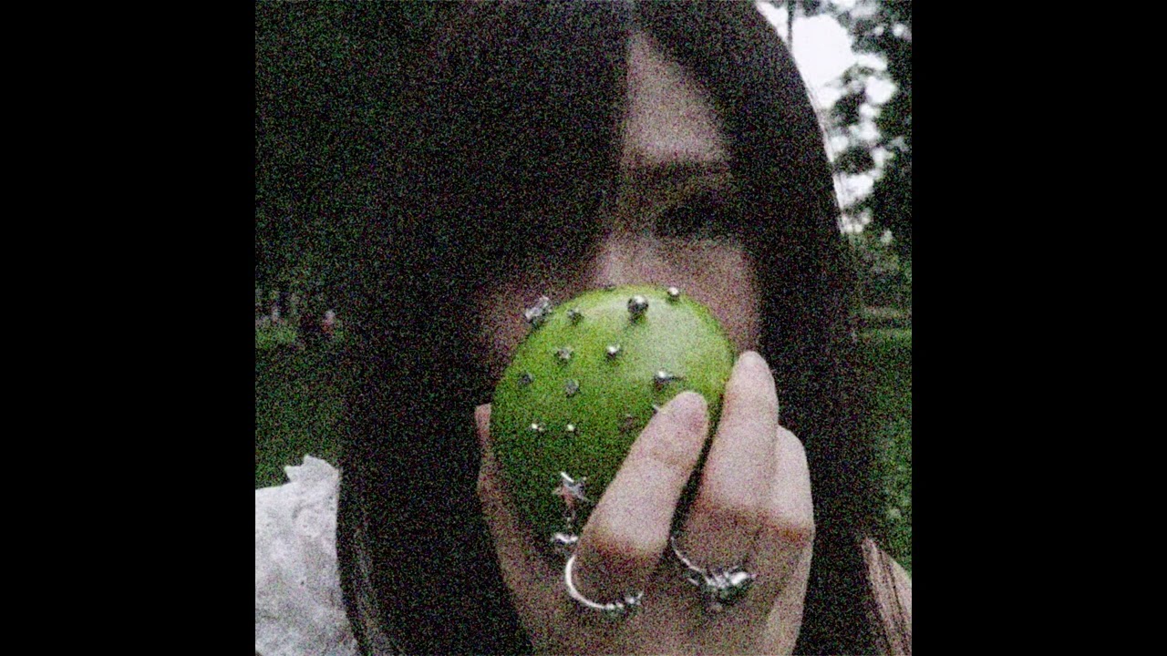 [free] lucy bedroque x skaiwater type beat 