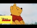 Mini aventuras de Winnie the Pooh - La cola de Igor