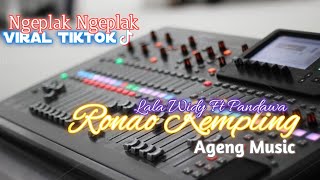 NGEPLAK NGEPLAK VIRAL TIKTOK !!! RONDO KEMPLING AGENG MUSIC !!