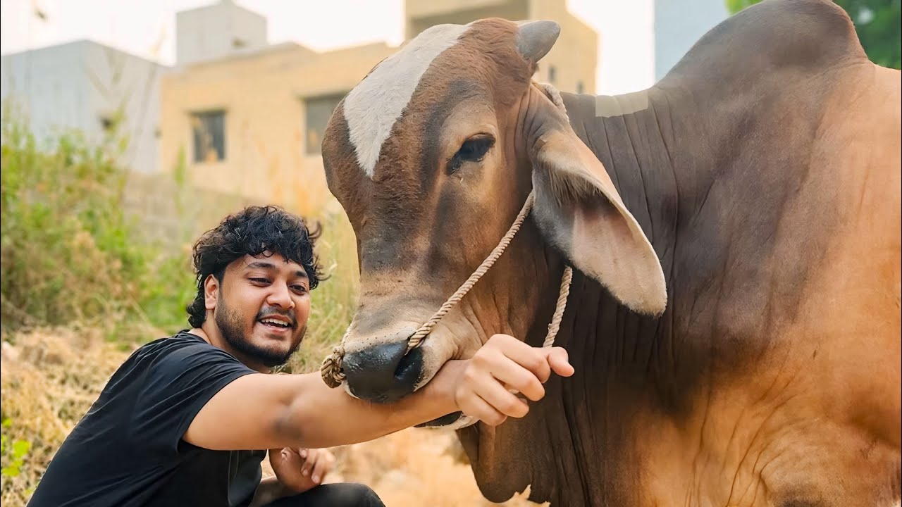 JANWAR KA SETUP READY HO GYA🏠