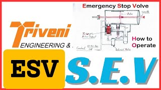 Celebrity emergency stop valve esv of triveni steam turbine working and operating drawing hindi / urdu english Profile
