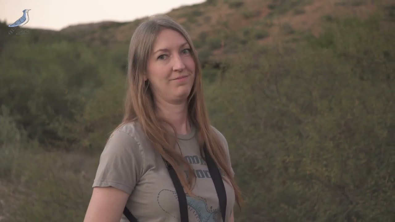 Best Beginner Bird Watching Book Best Beginner Bird Watching Book