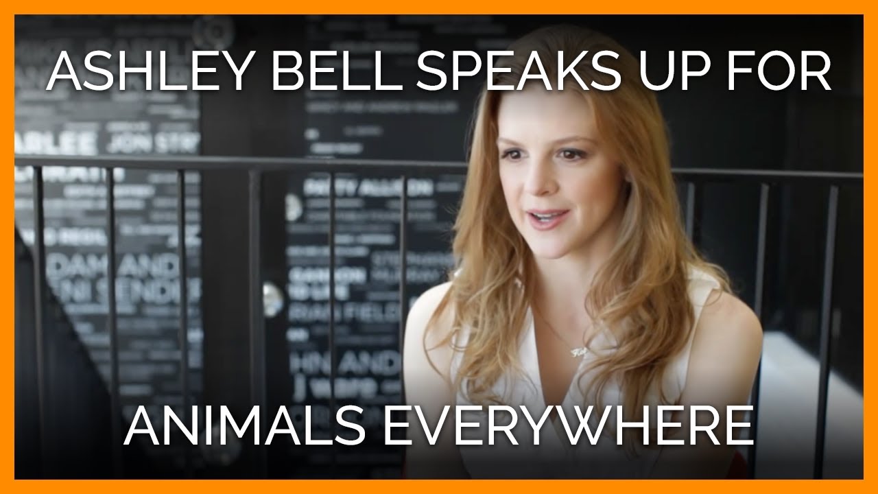 Ashley Bell Speaks Up for Animals Everywhere YouTube