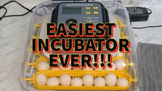 Maticoopx 30 egg incubator complete setup.
