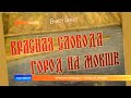 «Красная Слобода – город на Мокше»