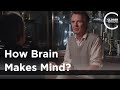 Galen Strawson - How Brain Makes Mind?