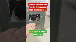 🐕😭Didi ne under band kar diya #viral #pug #cute #funny #shorts #viralshort #song #songs #funnycute