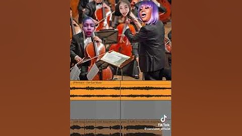 Can Can Jiafei, Dejé el Bullying, Shenseea y Cupcakke Remix | Ranvision.