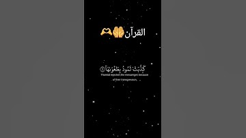 قرآن بتلاوه رائعه جمعه مباركه🤲🤍🫶#قرآن #تلاوة_خاشعة