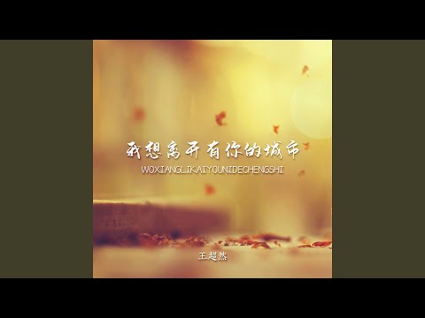 我想离开有你的城市 (DJ默涵版)