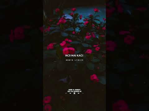 Umar M Shariff So Yashige Ni Lyrics Lyrics Musiclyrics Hausamusic