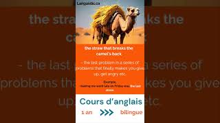 Be STRONG! You neeed this expression!
You will become BILINGUAL in one year! ✨
Devenir BILINGUE en un an ! ✨
SIGN UP NOW!
Inscrivez-vous dès maintenant!
3 étapes faciles :
1. Passez nous voir ou appelez-nous
2. Faites votre test de niveau gratuit
3. Commencez votre formation
Uniquement chez Languistic :
✅ Anglais pour le travail
✅ En présentiel et en ligne
✅ Formations adaptées à tous les budgets
✅ Affiliation à lUniversité Concordia
✅ À Montréal, à côté du métro Radisson (ligne verte)
✨✨✨Venez nous voir ou appelez-nous pour faire votre test de niveau gratuit !✨✨✨
3 easy steps:
1. Come see us or call us
2. Take your free placement test
3. Start your classes
Only at Languistic:
✅ English for work
✅ In person and online
✅ Plans for all budgets
✅ Affiliation with Concordia University
✅ In Montreal, next to the Radisson metro (green line)
✨✨✨Come see us or call us to take your free level test!✨✨✨
Visit us @ www.languistic.ca
TikTok: https://www.tiktok.com/@languistic.ca Be STRONG! You neeed this expression!