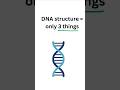 DNA is a complex molecule...let's breakdown its architecture |NEET Genetics |NCERT Biology