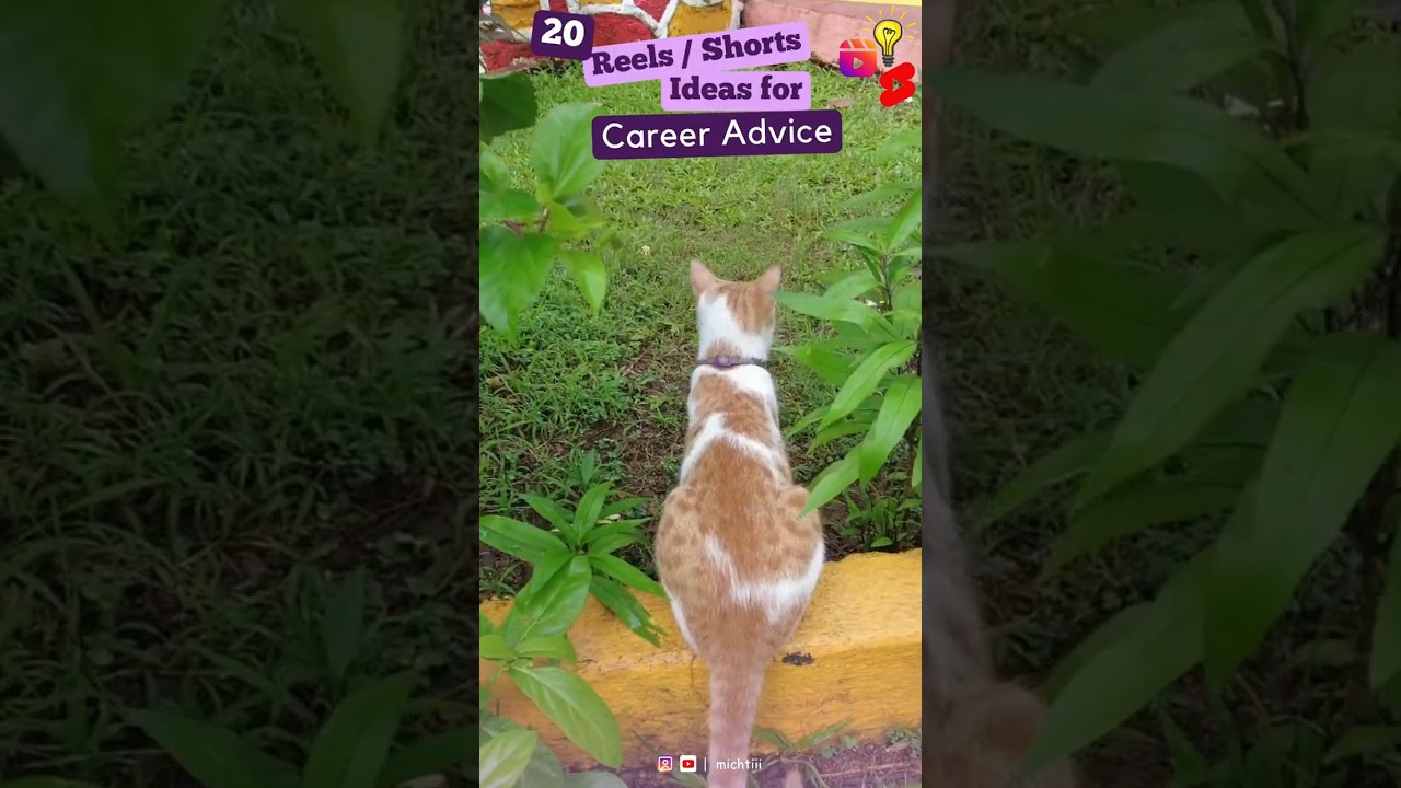 20 Reels | Shorts Ideas for Career Advice