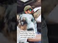 #rileygreen #trending #foryou #fyp #youtubeshorts #viral #countrymusic #duckman #shorts #worstway