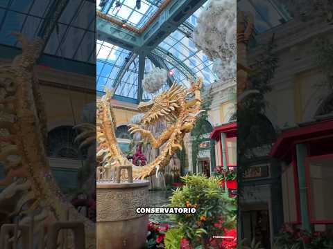 Имиджевый ролик для Astoria Casino