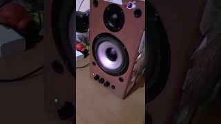 BASS TEST Speaker “DIALOG” (Morgenshtern flex)