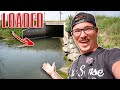 CRAWLING THROUGH A TUNNEL Leads To A HONEY HOLE!!! (Flooded Ditch Fishing)