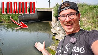 CRAWLING THROUGH A TUNNEL Leads To A HONEY HOLE!!! (Flooded Ditch Fishing)