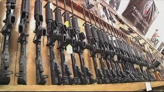 More gun control legal battles likely as state officials appeal overturning of assault weapons ban